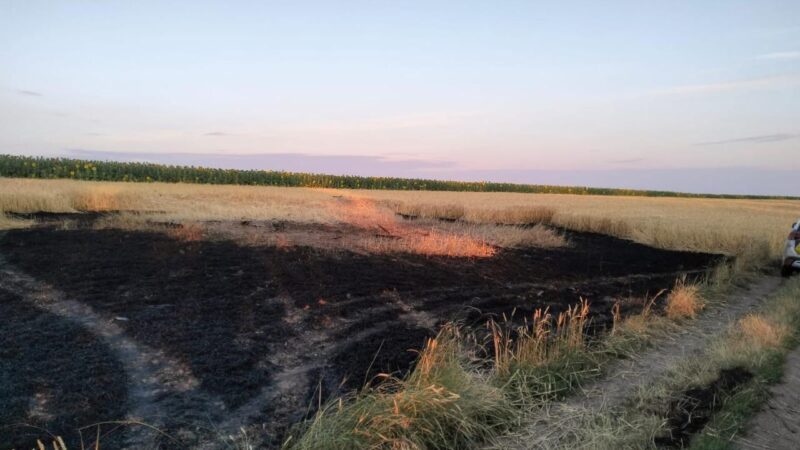 У Черкаській області сили ППО знищили 14 дронів