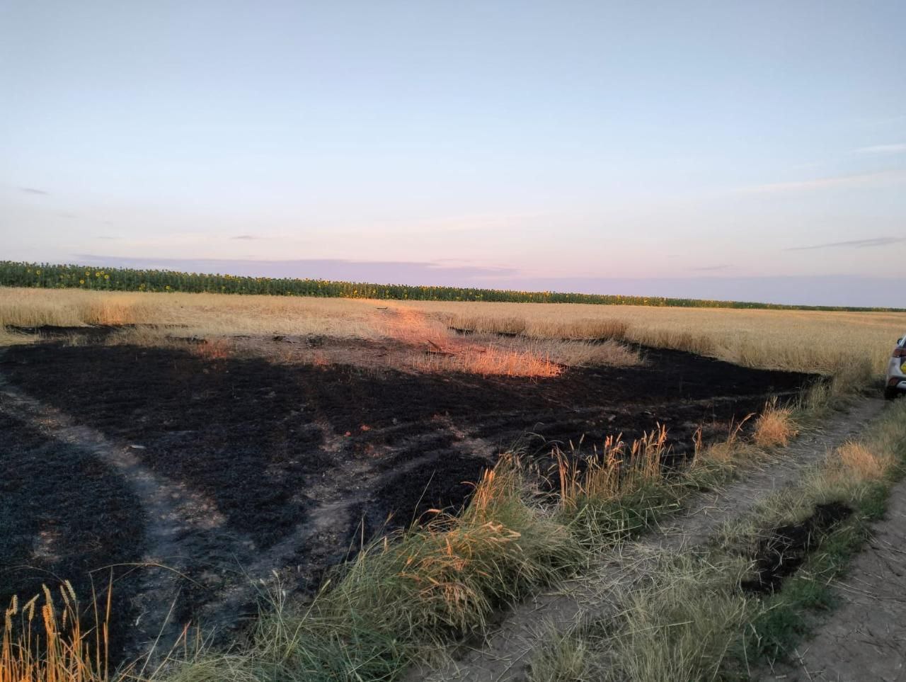 У Черкаській області сили ППО знищили 14 дронів