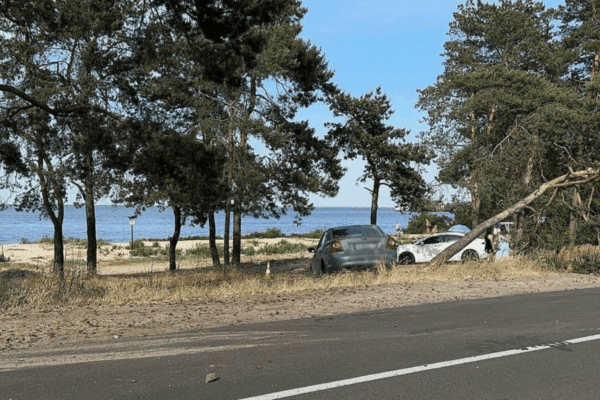 Водія, який збив двох підлітків у Черкасах, засудили до 5 років
