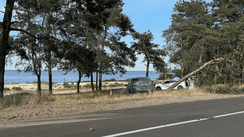 Водія, який збив двох підлітків у Черкасах, засудили до 5 років