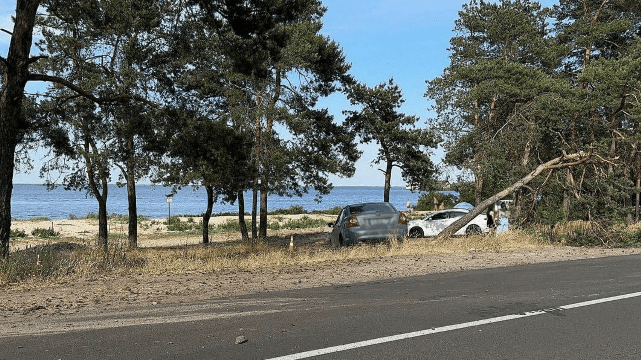 Водія, який збив двох підлітків у Черкасах, засудили до 5 років