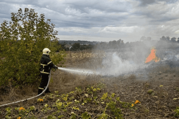 На Черкащині виникло сім пожеж: одна з них пошкодила житловий будинок