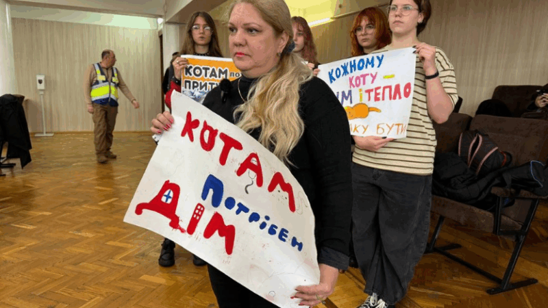 Притулок для котів у Черкасах: депутати частково підтримали електронну петицію