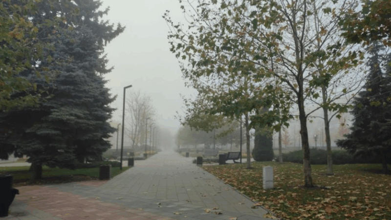 На Черкащині прогнозують туман та дощі: синоптики оголосили жовтий рівень небезпечності